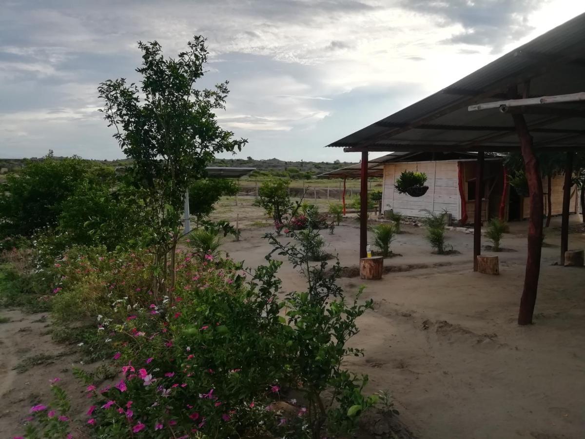 Pachingo La Primavera Вильявьеха Экстерьер фото