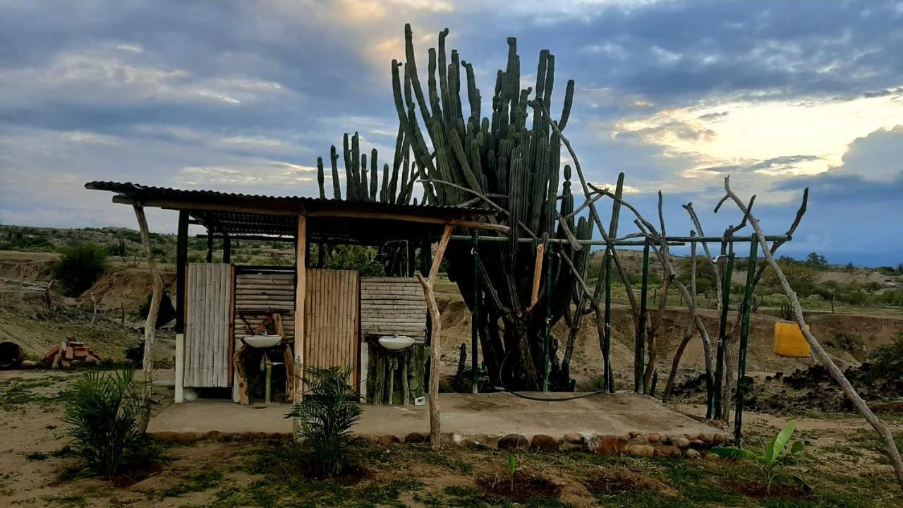Pachingo La Primavera Вильявьеха Экстерьер фото