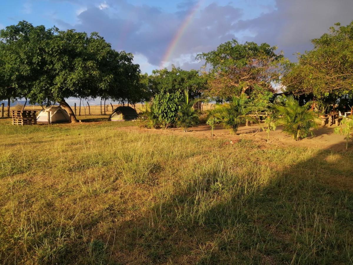 Pachingo La Primavera Вильявьеха Экстерьер фото