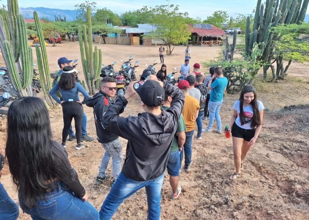 Pachingo La Primavera Вильявьеха Экстерьер фото